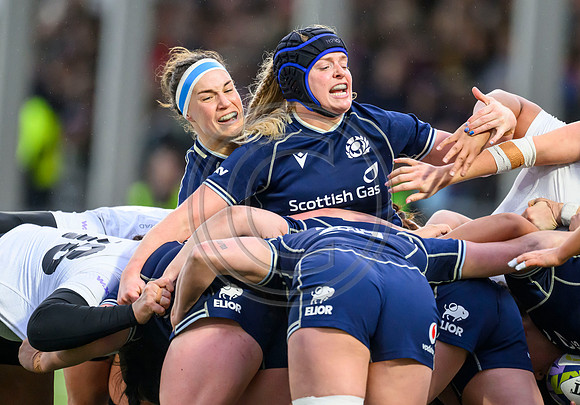 Scotland v New Zealand
