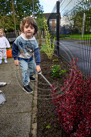 Planting Roots campaign