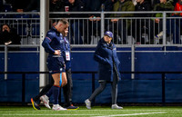 Edinburgh v Sharks