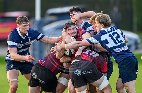 BKT United Rugby Championship Glasgow Warriors vs 10bet Lions