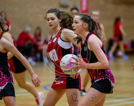 Netball District Finals