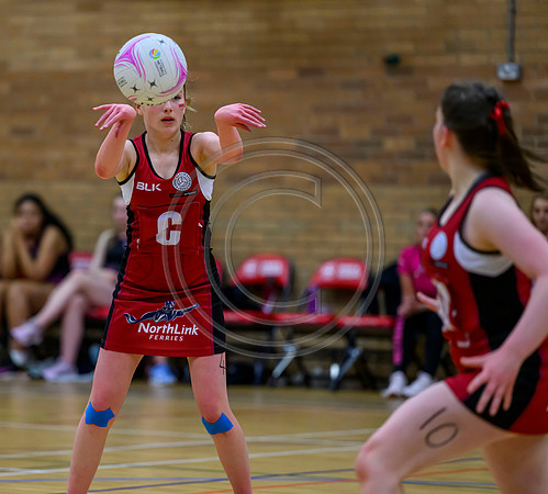 Netball District Finals