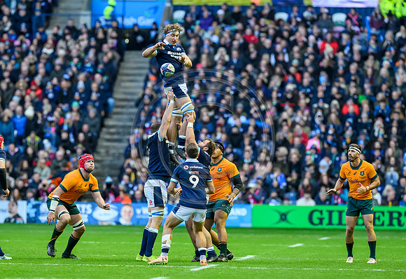 Scotland v Australia