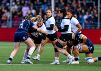 Scotland v New Zealand