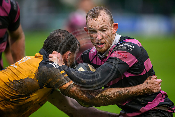 Ayr v Currie