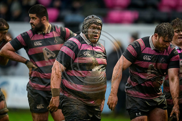 Ayr v Currie