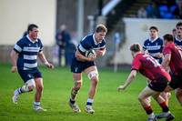 BKT United Rugby Championship Glasgow Warriors vs 10bet Lions
