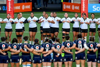 Scotland v New Zealand