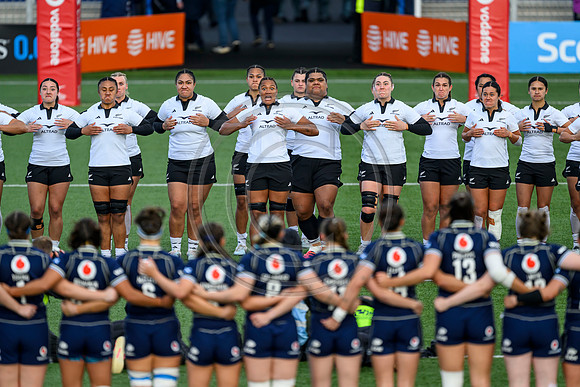 Scotland v New Zealand