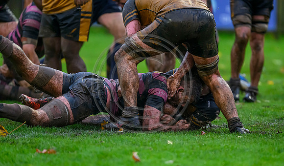 Ayr v Currie