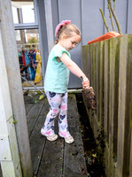 Planting Roots campaign