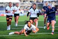 Scotland v New Zealand