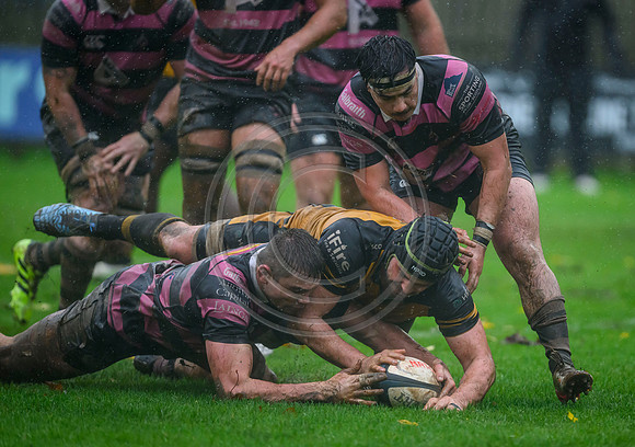 Ayr v Currie