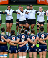 Scotland v New Zealand