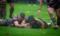 Ayr v Currie