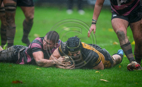 Ayr v Currie