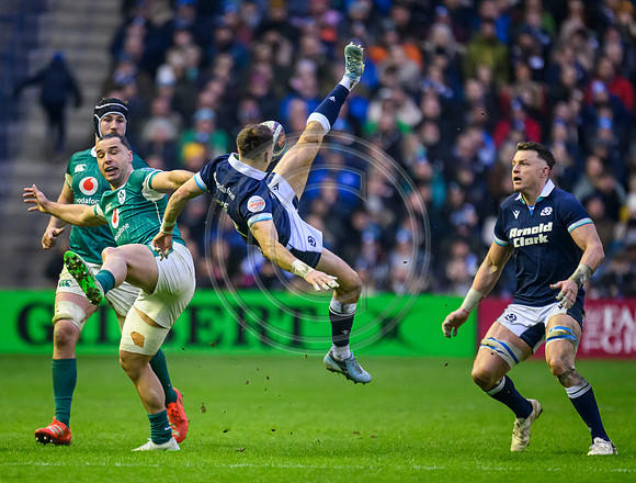 Scotland v ireland
