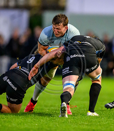 Glasgow Warriors v Bath