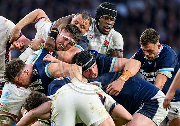 England v Scotland