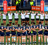 Scotland v New Zealand
