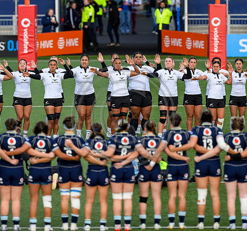 Scotland v New Zealand