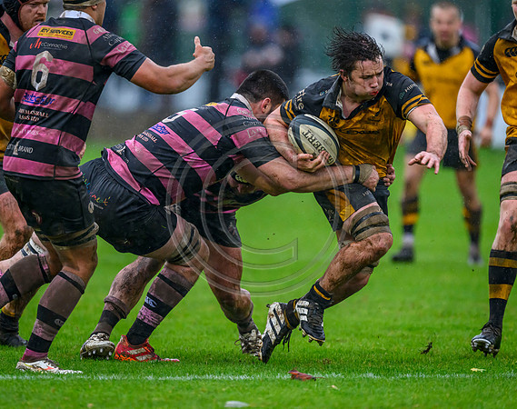 Ayr v Currie