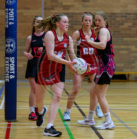 Netball District Finals