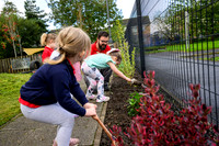 Planting Roots campaign