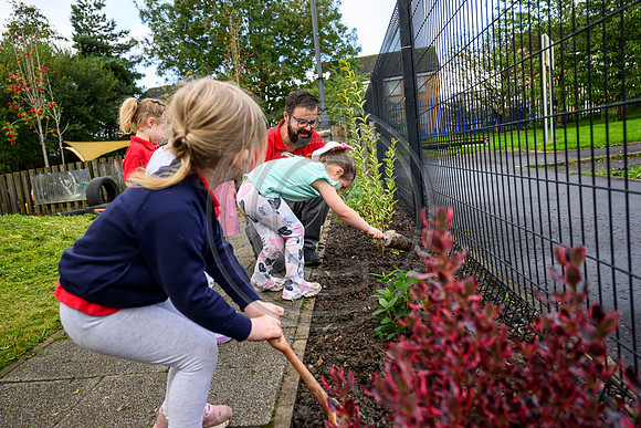 Planting Roots campaign