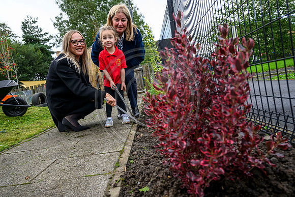 Planting Roots campaign