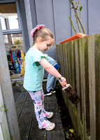 Planting Roots campaign