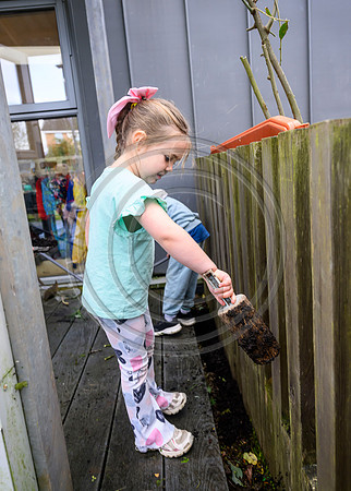 Planting Roots campaign