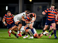 Edinburgh v Toulon