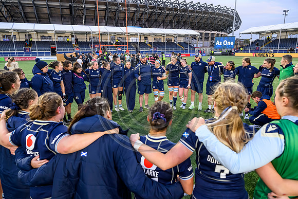 Scotland v New Zealand
