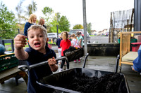 Planting Roots campaign