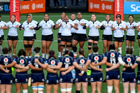 Scotland v New Zealand
