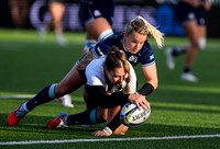 Scotland v New Zealand
