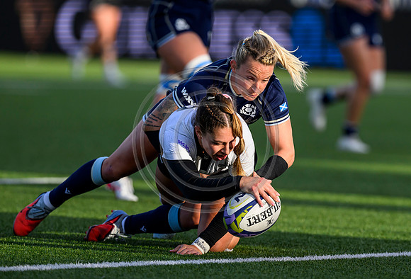 Scotland v New Zealand