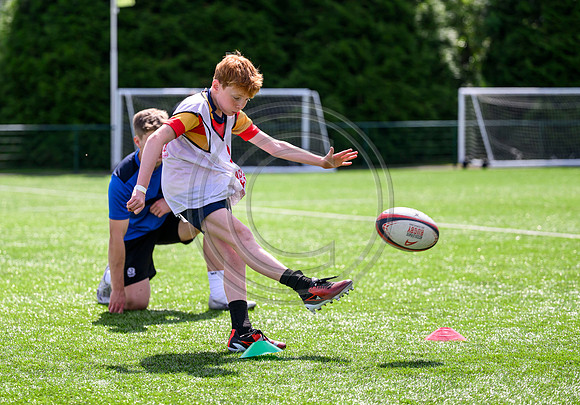 Accelerate Rugby