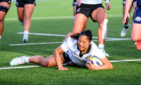 Scotland v New Zealand