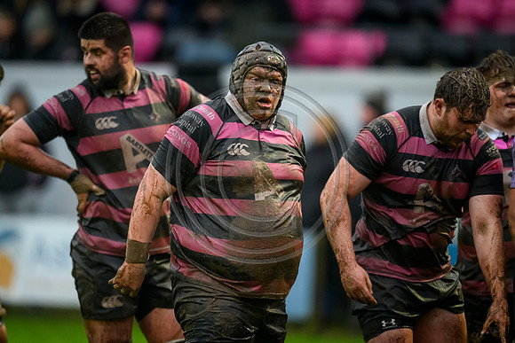 Ayr v Currie