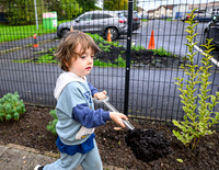 Planting Roots campaign