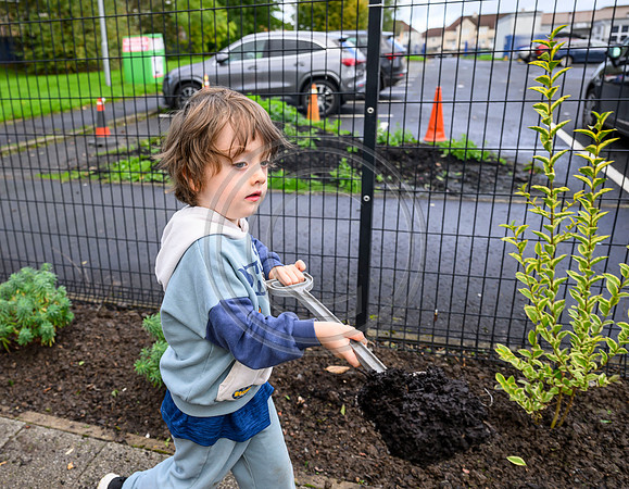 Planting Roots campaign