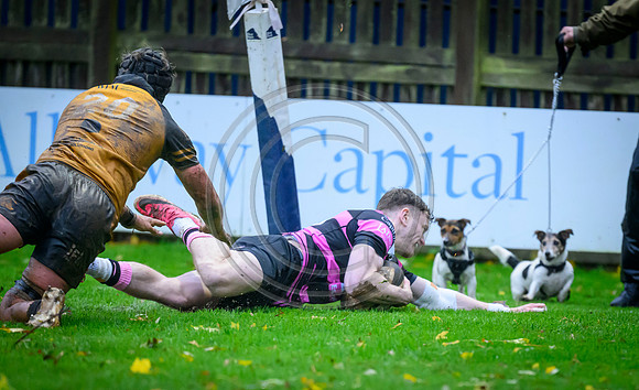Ayr v Currie