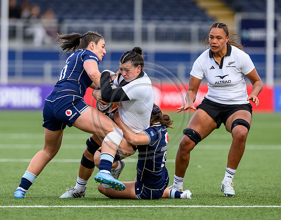 Scotland v New Zealand