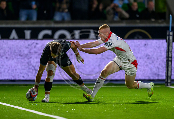 Warriors v Ulster