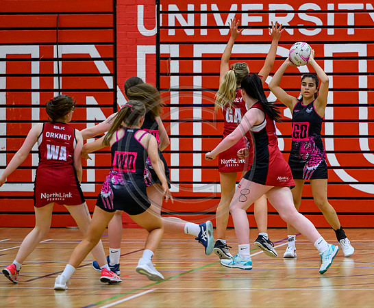 Netball District Finals