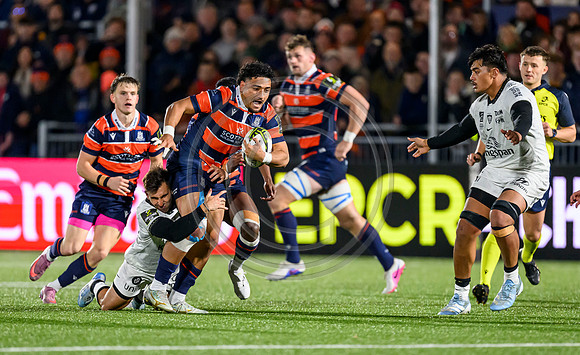 Edinburgh v Toulon
