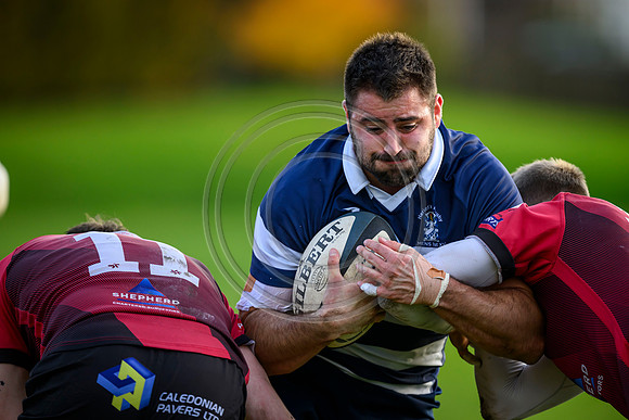 BKT United Rugby Championship Glasgow Warriors vs 10bet Lions