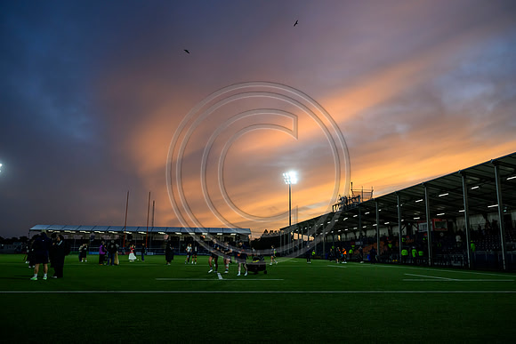 Scotland v New Zealand